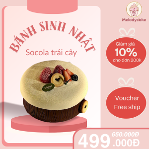 Choco Forest Fruit Cake