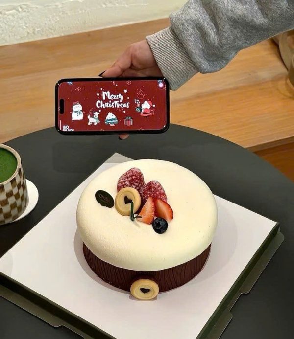 Choco Forest Fruit Cake - Ảnh 2
